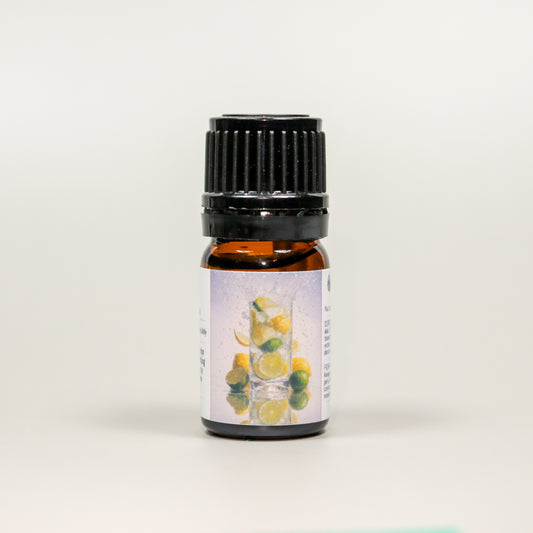 Citrus Fizz Diffuser Blend – Fresh Grapefruit, Lime & Mint Essential Oils