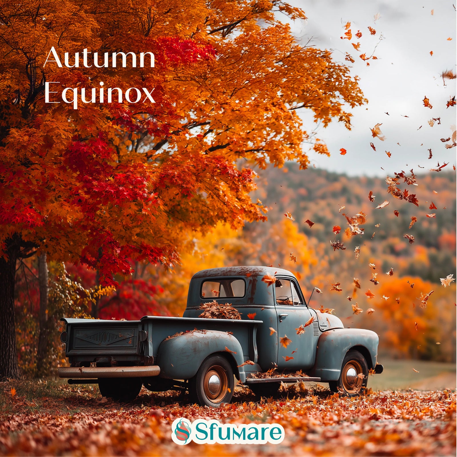 Autumn Equinox Diffuser Blend - Sfumare