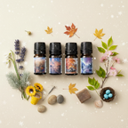 Seasonal Alignment: Four-Blend Essential Oil Diffuser Bundle