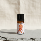 Fire Horse Essential Oil Diffuser Blend